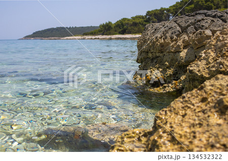 Clear water revealing seabed at Proizd Island, Croatia 134532322