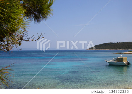 Proizd island turquoise bay with boat and pine tree 134532326