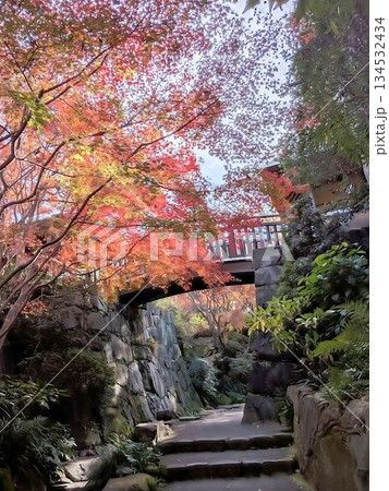 丈山苑、庭の風景 丈山苑、庭の風景 134532434
