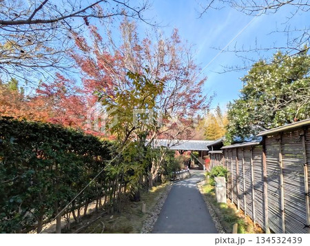 丈山苑、庭の風景 丈山苑、庭の風景 134532439