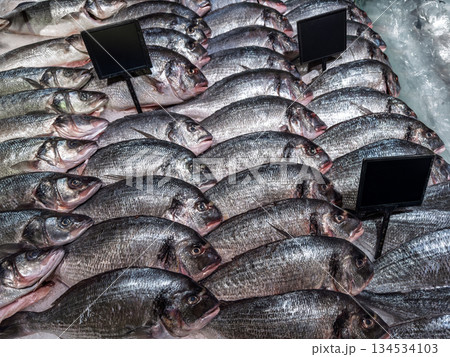 A detailed view of fresh chilled seafood symmetrically arranged in rows at a supermarket counter with empty tags for pricing 134534103
