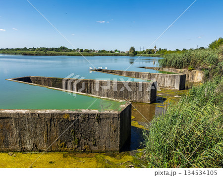 Water management structures in serene lakeside wetland with algae bloom reeds resting birds and blue summer sky 134534105
