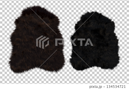 carpet for interior isolated on transparent background, home decor, 3D illustration, cg render 134534721