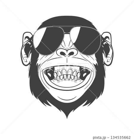 Monkey Face with Sunglasses. Cool Monkey Portrait In Black and White Line Art. Grinning Monkey Head Mascot Logo for Streetwear, Sticker, Poster, Tattoo, Retro Graphic Design, Monkey Face 134535662