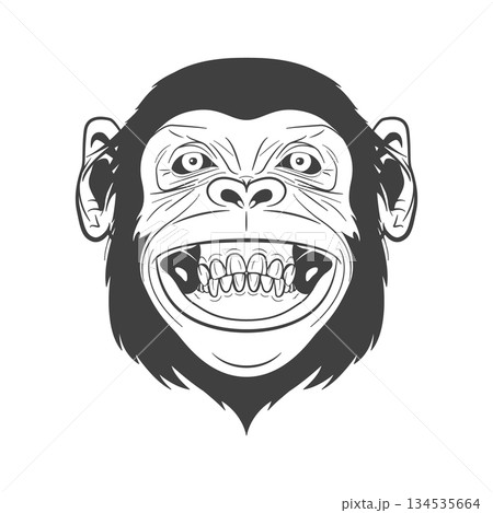 Monkey Face Illustration. Grinning Monkey Head Portrait In Black and White Line Art. Funny Monkey Mascot Logo for Tattoo, Sticker, Streetwear, Poster. Graphic Design, Vector Illustration 134535664