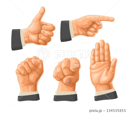 Male hand sign. Fist, Like, Pointing, Stop. Vector color illustration Male hand sign. Fist, Like, Pointing, Stop. Vector color illustration 134535853