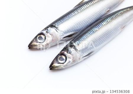 ウルメイワシ ウルメイワシ 134536308