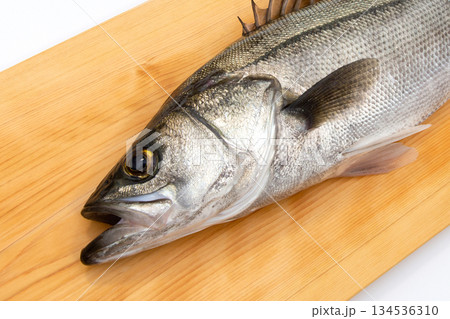 新鮮なスズキ（シーバス） 134536310
