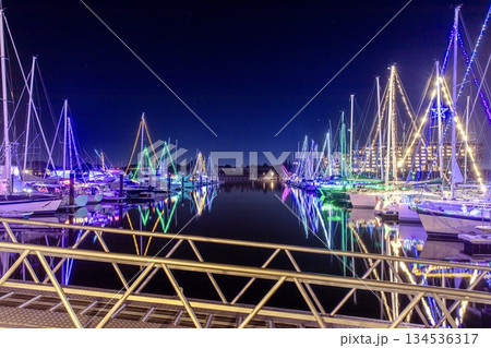 蒲郡市、ラグナマリーナのヨットイルミネーション 134536317
