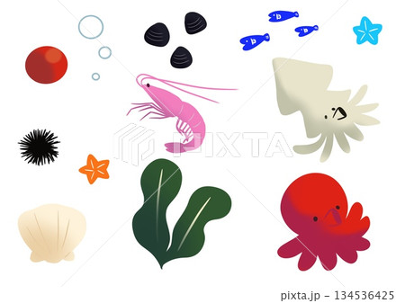 魚介類のイラスト 魚介類のイラスト 134536425
