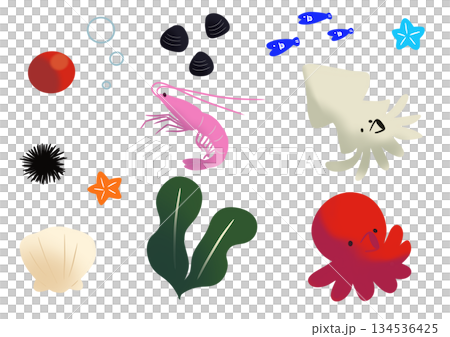魚介類のイラスト 魚介類のイラスト 134536425