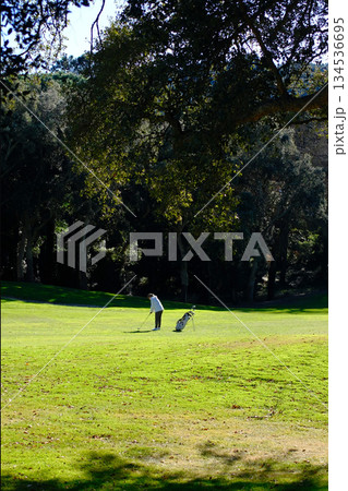 woman playing golf in the green fairway club woman playing golf in the green fairway club 134536695