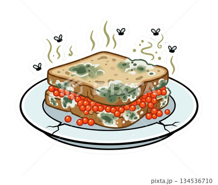 sandwich sits on a cracked plate in a kitchen. It is covered in green mold and has red bits underneath. Small flies are buzzing around the food indicating decay. sandwich sits on a cracked plate in a kitchen. It is covered in green mold and has red bits underneath. Small flies are buzzing around the food indicating decay. 134536710