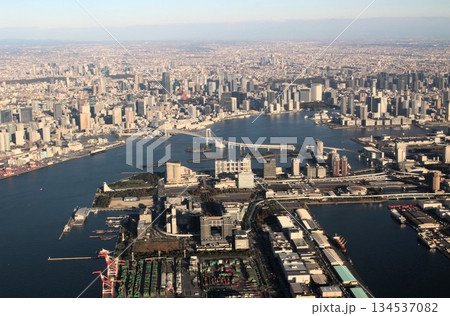 空から見たお台場海浜公園とレインボーブリッジ　東京都　港区 134537082