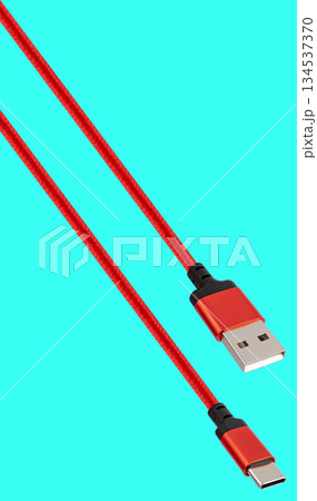 USB and Type-C cable and connector, insulated on white background 134537370