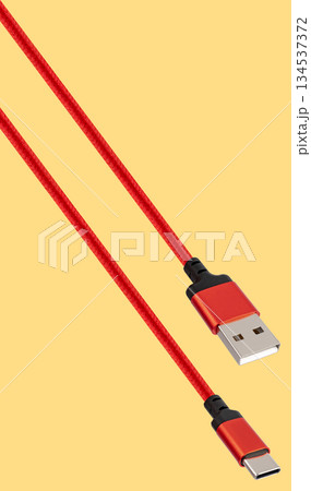USB and Type-C cable and connector, insulated on white background USB and Type-C cable and connector, insulated on white background 134537372