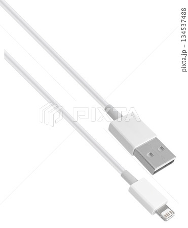 USB and Lightning cable and connector, insulated on yellow background 134537488