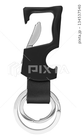 keychain for car keys, on white background in insulation keychain for car keys, on white background in insulation 134537540