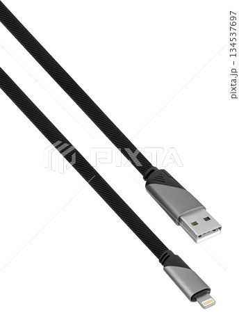 cable with Lightning and USB connector, on white background in insulation cable with Lightning and USB connector, on white background in insulation 134537697