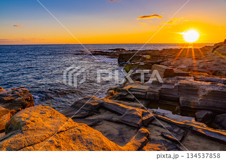 （静岡県）南伊豆入間千畳敷・夕景 134537858