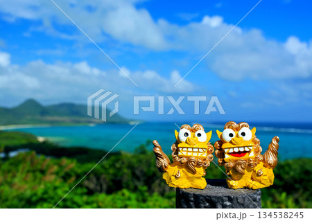 沖縄の青い海とシーサー 134538245