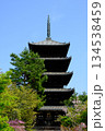 春の仁和寺の五重塔の風景 134538459