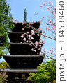 春の仁和寺の五重塔の風景 134538460