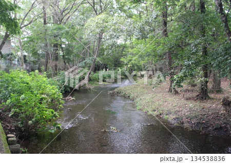 磯川緑地公園 134538836