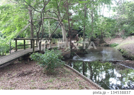 磯川緑地公園 134538837