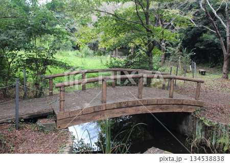 磯川緑地公園 134538838