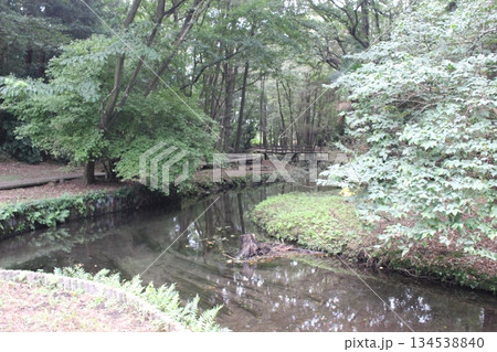 磯川緑地公園 134538840