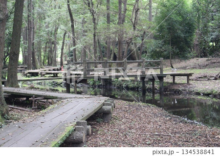 磯川緑地公園 134538841