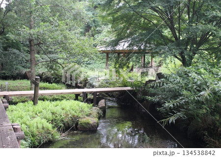 磯川緑地公園 134538842