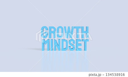 Inspirational Growth Mindset Typography Concept 3d render. Inspirational Growth Mindset Typography Concept 3d render. 134538916