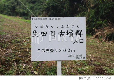 生田目散策路 生田目散策路 134538998