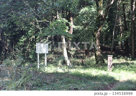 生田目散策路 生田目散策路 134538999