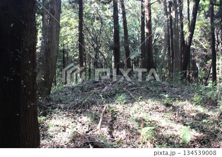 生田目散策路 生田目散策路 134539008