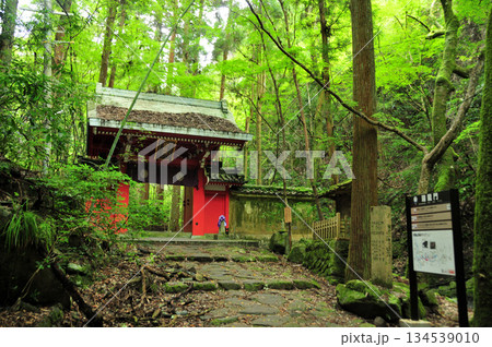 瑞龍門(犬鳴山)　【大阪府泉佐野市】 134539010