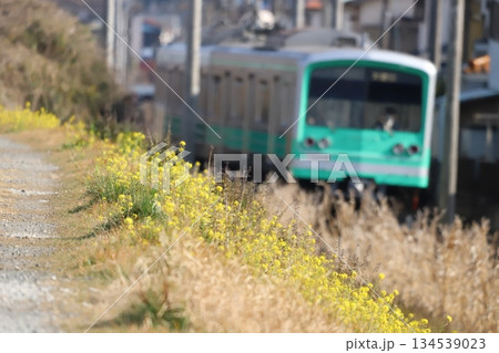 大雄山線沿いの道と電車 大雄山線沿いの道と電車 134539023