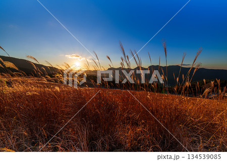 超広角レンズが描き出す曽爾高原師走の夕景 日没から美しい夕焼けまで 黄金色の太陽と風になびくすすき➃ 超広角レンズが描き出す曽爾高原師走の夕景 日没から美しい夕焼けまで 黄金色の太陽と風になびくすすき➃ 134539085