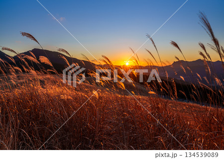 超広角レンズが描き出す曽爾高原師走の夕景　日没から美しい夕焼けまで　黄金色に輝く空とすすきの穂➃ 134539089