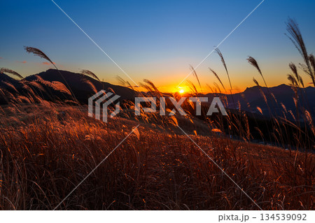 超広角レンズが描き出す曽爾高原師走の夕景 日没から美しい夕焼けまで グラデーションの空と輝くすすき② 超広角レンズが描き出す曽爾高原師走の夕景 日没から美しい夕焼けまで グラデーションの空と輝くすすき② 134539092