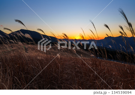 超広角レンズが描き出す曽爾高原師走の夕景 日没から美しい夕焼けまで 沈んで行く夕日と輝きを失う高原② 超広角レンズが描き出す曽爾高原師走の夕景 日没から美しい夕焼けまで 沈んで行く夕日と輝きを失う高原② 134539094