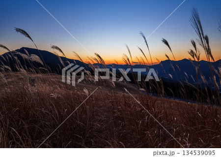 超広角レンズが描き出す曽爾高原師走の夕景　日没から美しい夕焼けまで　山際に残る夕焼けと暗くなる高原① 134539095