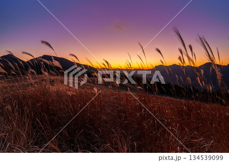 超広角レンズが描き出す曽爾高原師走の夕景　日没から美しい夕焼けまで　日没後輝く空とすすきの穂② 134539099