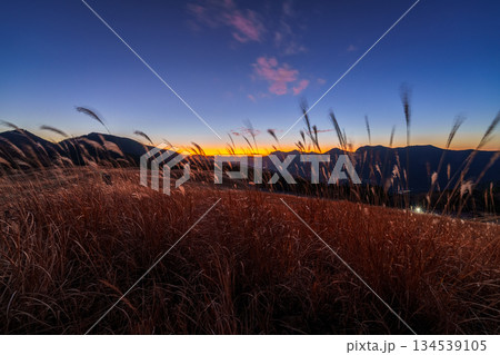 超広角レンズが描き出す曽爾高原師走の夕景　日没から美しい夕焼けまで　山際の残照に照らされる高原➃ 134539105