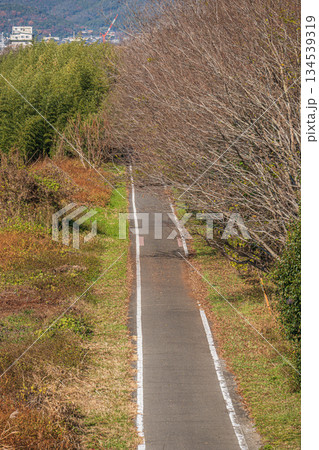 桂川河川敷のサイクリングコース 京都市 桂川河川敷のサイクリングコース 京都市 134539319