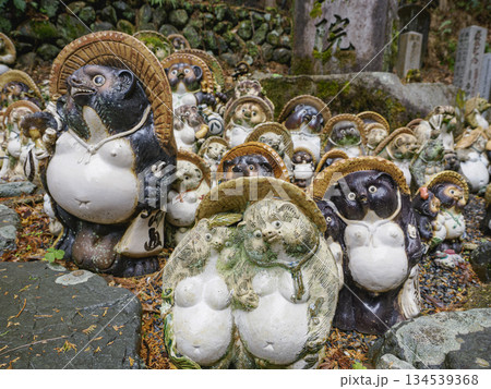 苔むした岩場に並ぶ信楽焼のタヌキ像 苔むした岩場に並ぶ信楽焼のタヌキ像 134539368