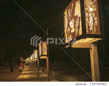 奈良公園 参道を照らす幻想的な和の灯り 134539369