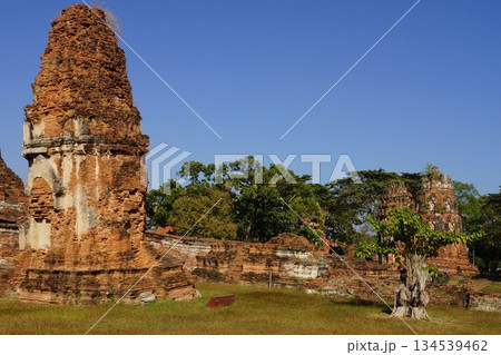 タイ アユタヤ  アユタヤ歴史公園 ワット・マハタートの風景 134539462